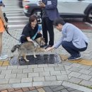 생기자리공원 이미지