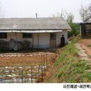 최고싼집 이미지