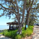 자은의 언덕 이미지