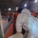 해밀축산 이미지