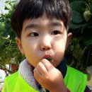 국가대표 드림플러스 태권도 이미지