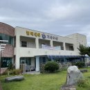 벌떡새우 | 사천 벌떡새우 가격정보 삼천포 대하 소금구이
