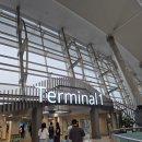 충동적으로 당일 예약해서 떠난 상하이 여행 3박 5일 경비, 여행일정 총정리(1, 2일차) 이미지