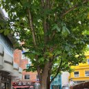 물동이 진 아이 이미지