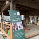 (강화) 카페 드 포레 후기(Cafe de Foret in Ganghwa, Republic of Korea)