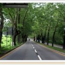 속리산(청주) 이미지