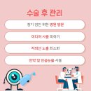 루원스마일안과 이미지