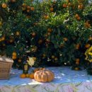 아띠목장 이미지