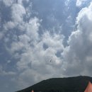 국수나무(내외점) | 랩 페러글라이딩 / 대형 베이커리 카페 제주당 / 현지인 추천 접착뼈국 맛집 국수나무집 내돈내산 후기