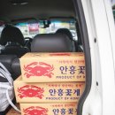 성난 게장 이미지