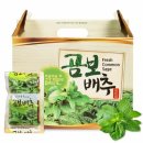배추몰