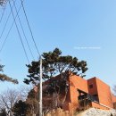 카페빈정