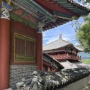 온달 | [2025.08.16] 단양 온달 관광지 다녀온 후기