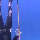 턴(TURN) 이미지