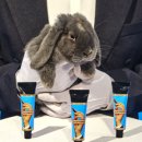 에스제이뷰티 이미지