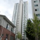 새꽃로(1) 이미지