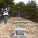 성지번역