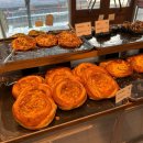 나비빵 | 광주 빵지순례 궁전제과 빵 6종류 후기 나비파이 공룡알 소금빵 생크림빵