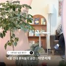 자양제4동주민센터 | 서울 건대 혼자놀기 공간 자양서재 자양제4동도서관
