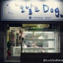도날드도그