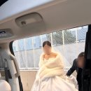 꽃가마 | W #16 본식 웨딩카 : 리미티드에디션 하이리무진 '꽃가마웨딩카' 이용 후기