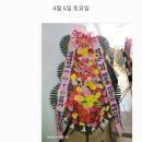 웰빙플라워 이미지