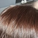 보라3통 이미지