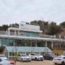 벚꽃카페