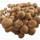 클레오피부관리 네이버블로그