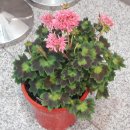 가서농장 이미지