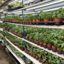 남사농장 이미지