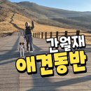 유동농장 | 간월재 애견동반 사슴농장코스 찐후기