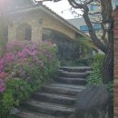 수원-0429 이미지