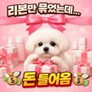 평택물류주유소 | 판토스에서 리본만 묶었는데… 하루 10만 원? (김밥은 필수😂)