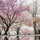 삼영중공업(주) 이미지