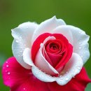 8월 27일 수요일 간추린 뉴스와 날씨 이미지