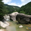 청남대 대청호벚꽃, 괴산 살구꽃 조령산자연휴양림 팸투어