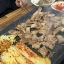 돈뜰꽃돼지 이미지