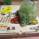 네네치킨(번동점) | 번동 네네치킨 :: 양념반 후라이드반 냠냠