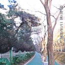 반도보라빌리지산책로 이미지