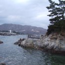 나폴리 - 부산진구 자유평화로 7 | 나폴리