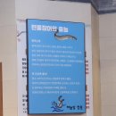메타로폴리스로 이미지