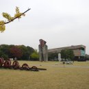 @ 송파구 올림픽공원, 몽촌토성 늦가을 나들이 ~~ (나홀로나무, 충헌공김구 묘역, 성내천) 이미지
