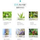 (주)스와디시크릿 이미지
