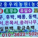 보람농산 - 거제시 옥포로19길 2 | 보람농산