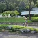 쿠마스토리 이미지