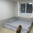 스테이 한가로이 두번째 네이버블로그