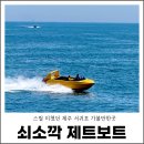 바다와등대가보이는집 | 제주 서귀포 가볼만한곳 스릴 미쳤던 쇠소깍 제트보트 후기