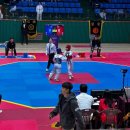 용인대성서태권도 | 실력있는 이곡동태권도 용인대성서태권도