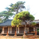 송종철 | 무안 연방정(聯芳亭)